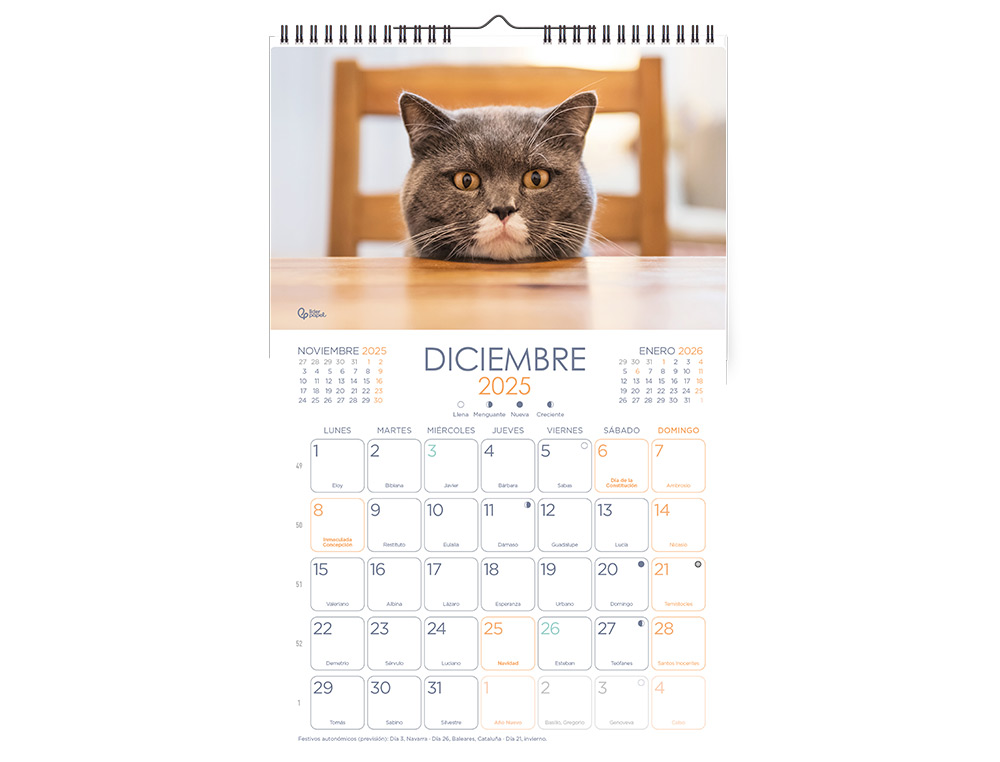 CALENDARIOS LIDERPAPEL 2025 PACK DE 24 UNIDADES DISEÑOS SURTIDOS LOTE