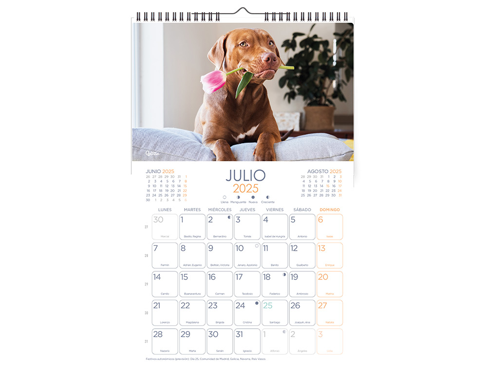 CALENDARIOS LIDERPAPEL 2025 PACK DE 24 UNIDADES DISEÑOS SURTIDOS LOTE