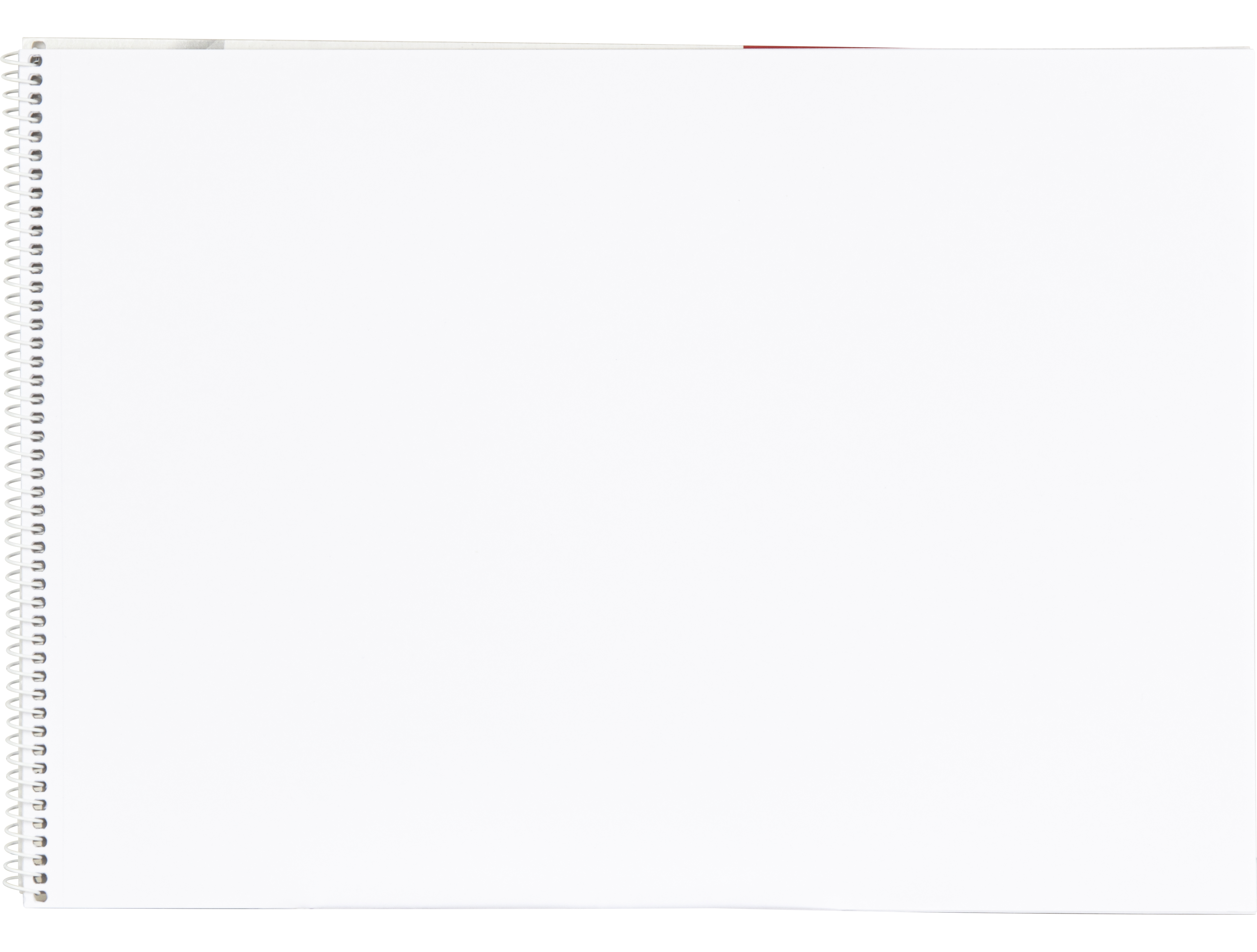 BLOC DIBUJO LIDERPAPEL ARTISTICO FRUTAL ESPIRAL 230X325 MM 20 HOJAS 130G/M2 SIN RECUADRO PERFORADO
