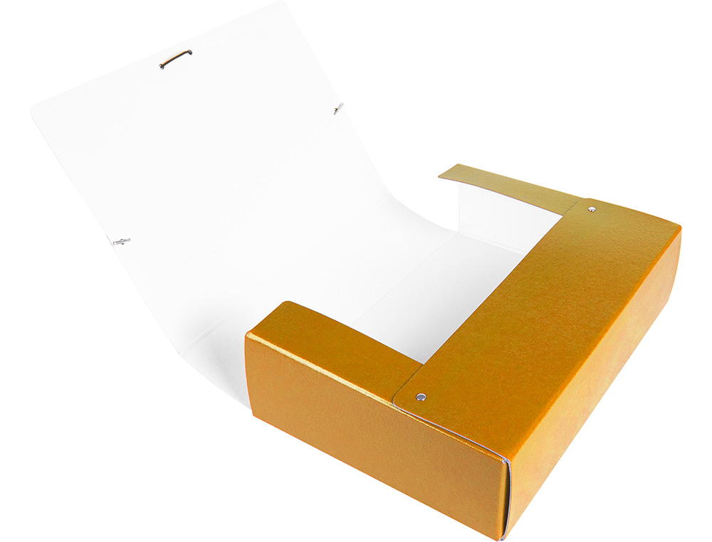 CARPETA PROYECTOS LIDERPAPEL FOLIO LOMO 70MM CARTON GOFRADO VERDE