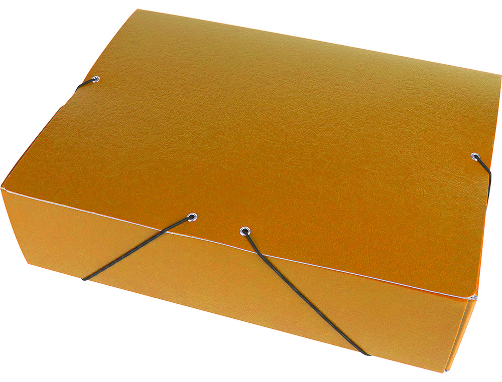 CARPETA PROYECTOS LIDERPAPEL FOLIO LOMO 70MM CARTON GOFRADO VERDE