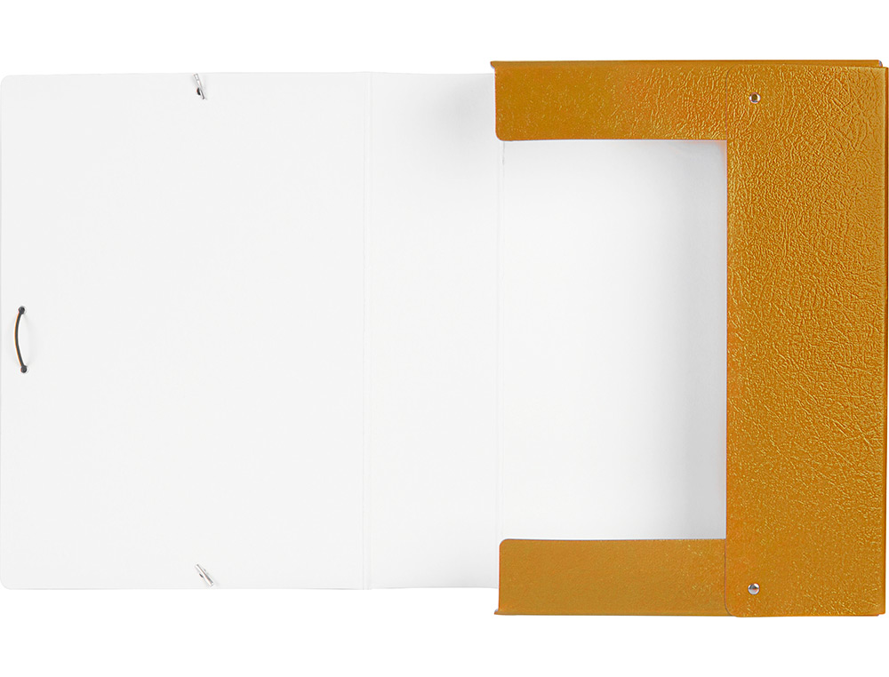 CARPETA PROYECTOS LIDERPAPEL FOLIO LOMO 70MM CARTON GOFRADO VERDE
