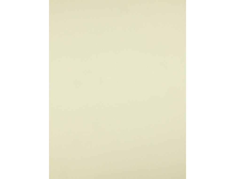 CARTULINA LIDERPAPEL 50X65 CM 240G/M2 AMARILLO