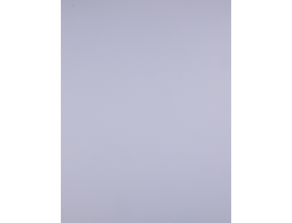 CARTULINA LIDERPAPEL 50X65 CM LILA 240 GR UNIDAD