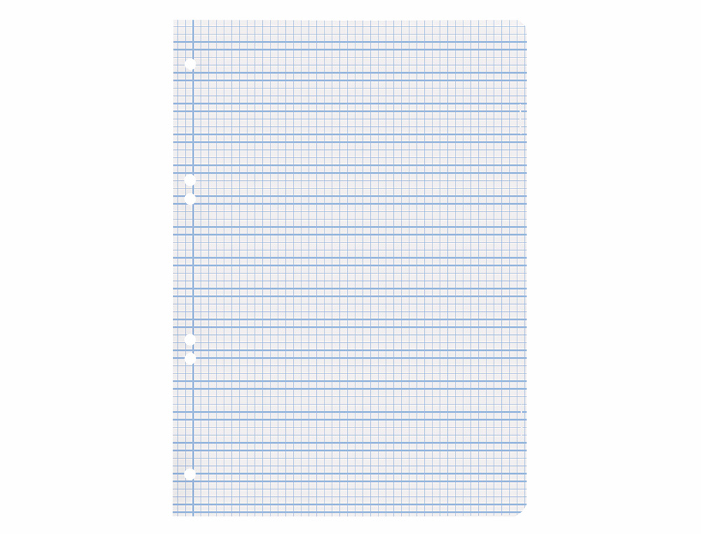 RECAMBIO LIDERPAPEL A5 PAUTAGUIA 100 HOJAS 75GR CUADRICULADO PAUTADO 3MM CON MARGEN 6 TALADROS