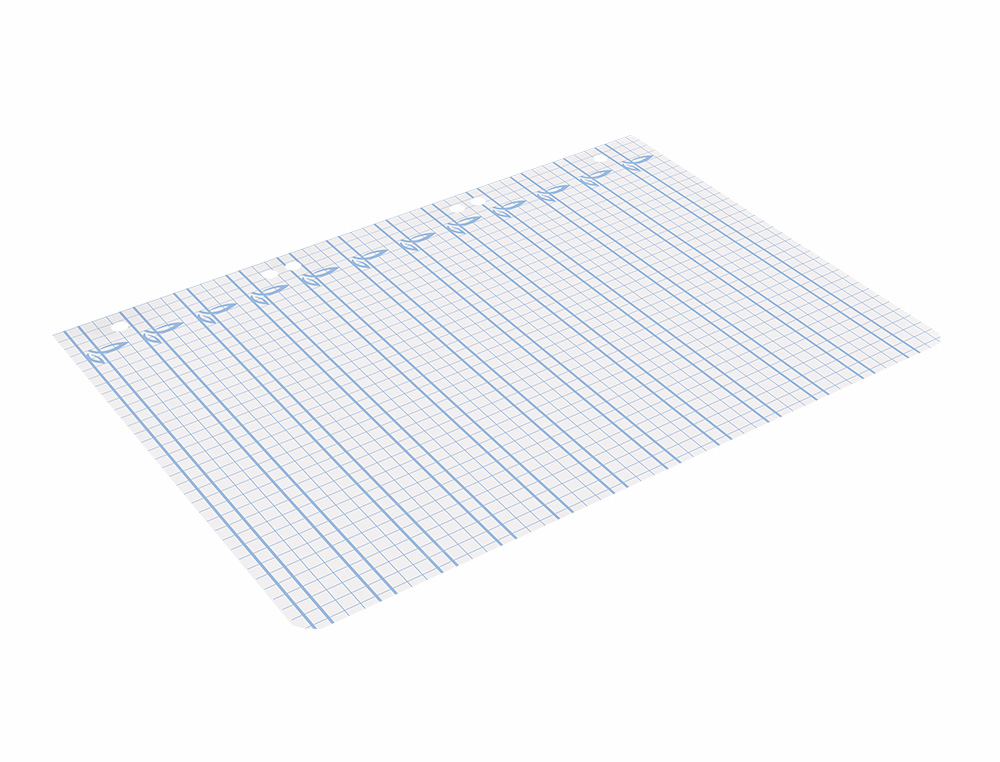 RECAMBIO LIDERPAPEL CUARTO PAUTAGUIA 100 HOJAS 75GR CUADRICULADO PAUTADO 4MM CON MARGEN 6 TALADROS