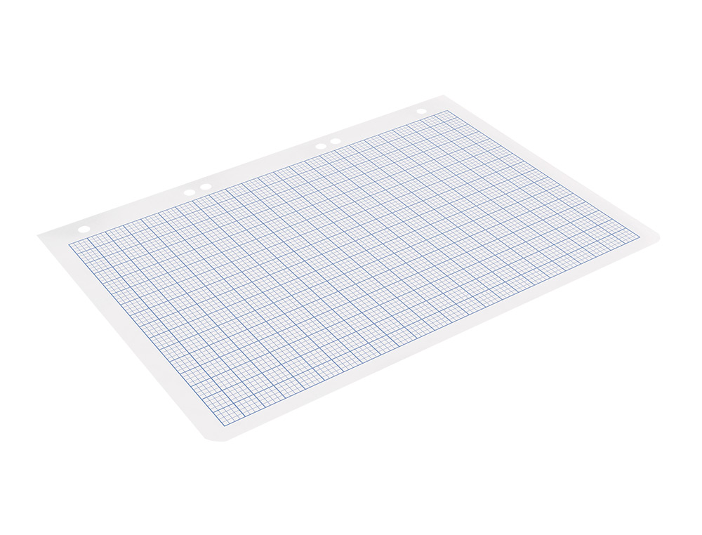 RECAMBIO LIDERPAPEL CUARTO 100 HOJAS 60G/M2 RAYADO N 46 6 TALADROS