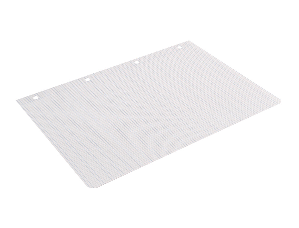 RECAMBIO LIDERPAPEL A4 PAUTAGUIA 100 HOJAS 75 G CUADRICULADO PAUTADO 3MM CON MARGEN 4 TALADROS