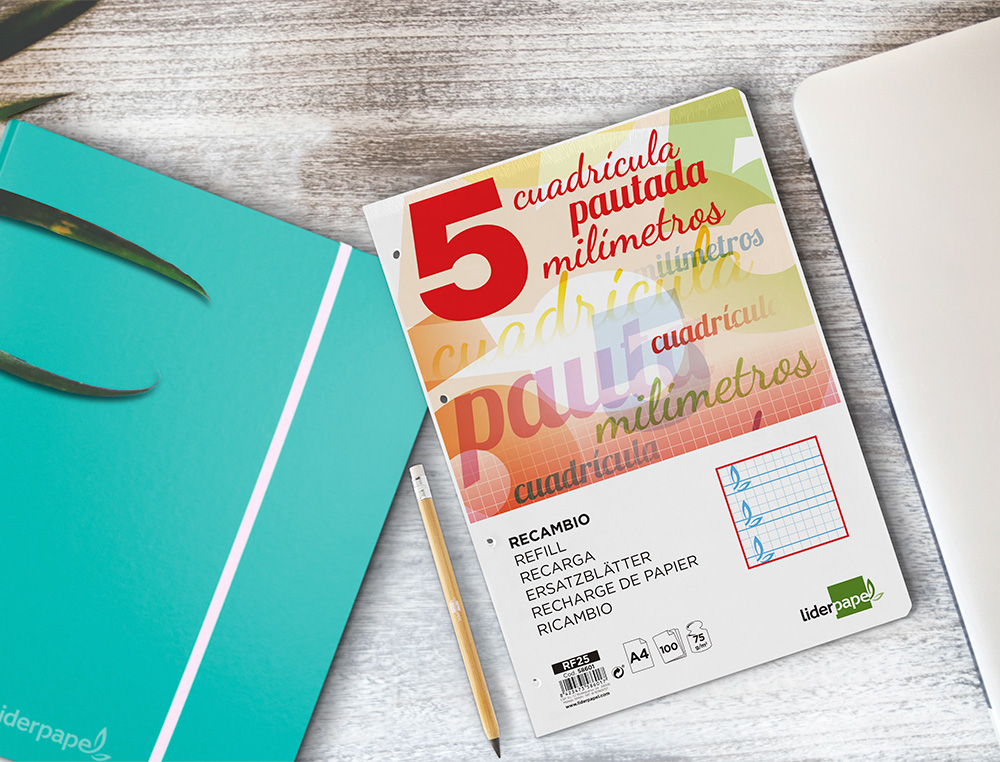 RECAMBIO LIDERPAPEL A4 PAUTAGUIA 100 HOJAS 75GR CUADRICULADO PAUTADO 5MM CON MARGEN 4 TALADROS