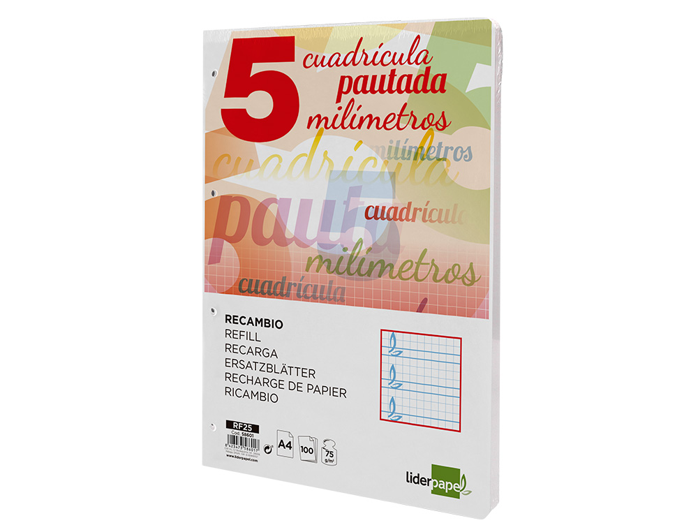 RECAMBIO LIDERPAPEL A4 PAUTAGUIA 100 HOJAS 75GR CUADRICULADO PAUTADO 5MM CON MARGEN 4 TALADROS