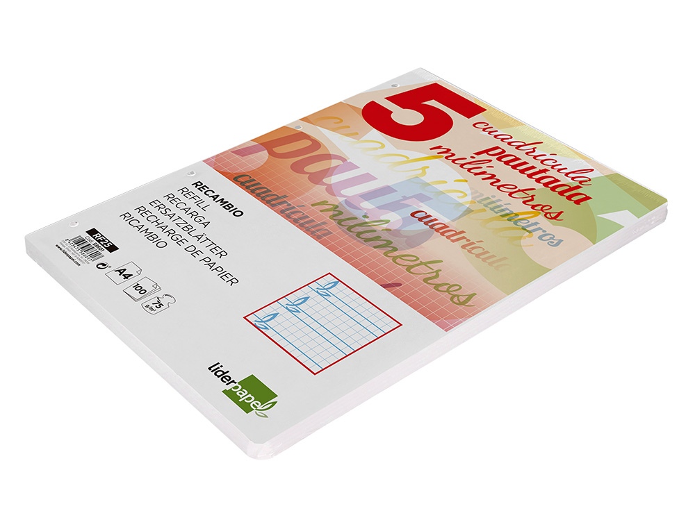 RECAMBIO LIDERPAPEL A4 PAUTAGUIA 100 HOJAS 75GR CUADRICULADO PAUTADO 5MM CON MARGEN 4 TALADROS
