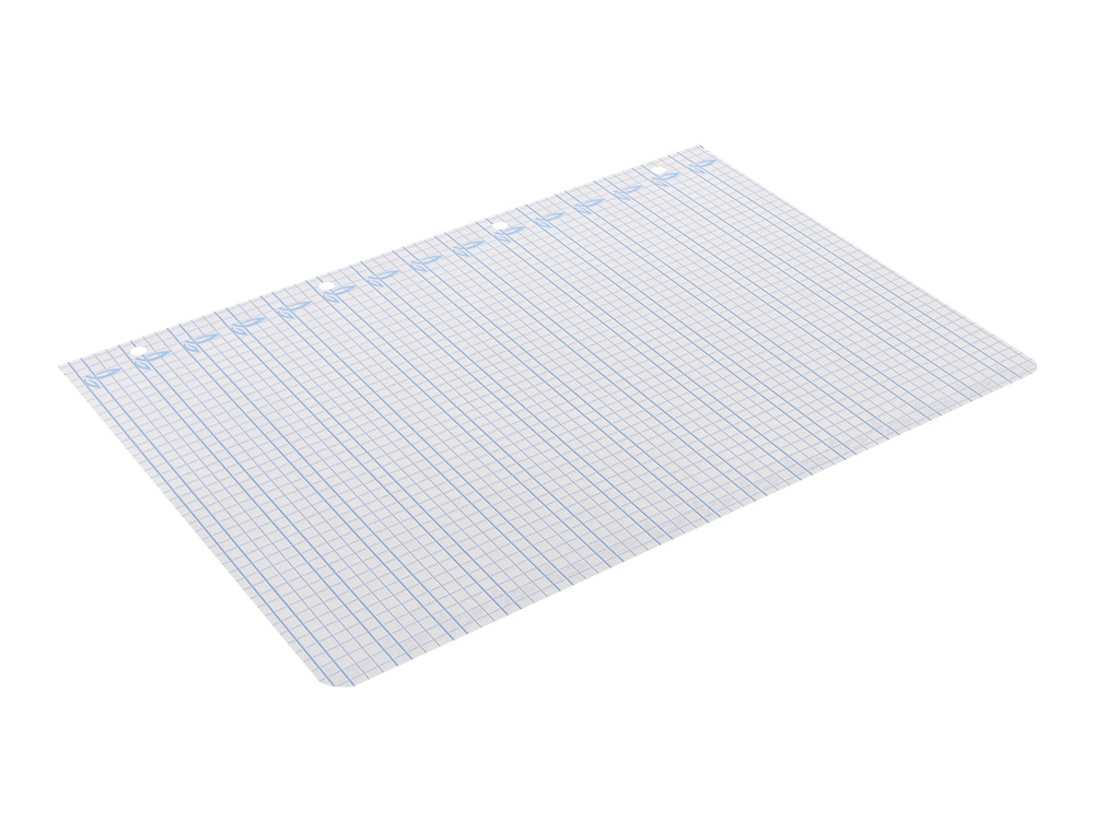 RECAMBIO LIDERPAPEL A4 PAUTAGUIA 100 HOJAS 75GR CUADRICULADO PAUTADO 5MM CON MARGEN 4 TALADROS