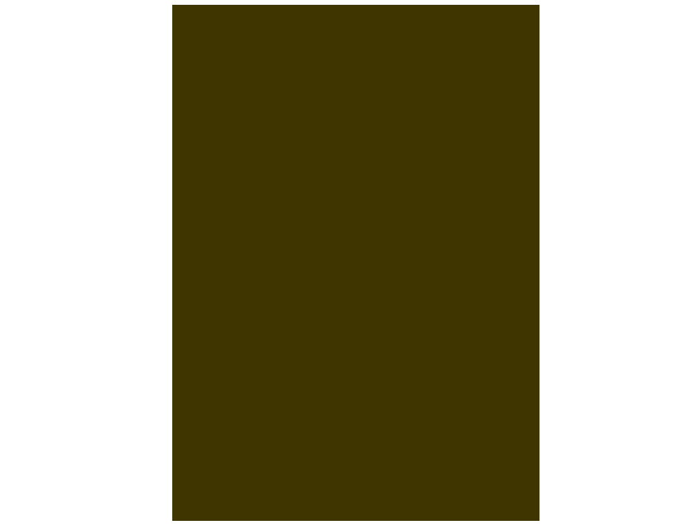 CARTULINA LIDERPAPEL 50X65 CM 240 G/M2 MARRON CLARO ESCOLAR