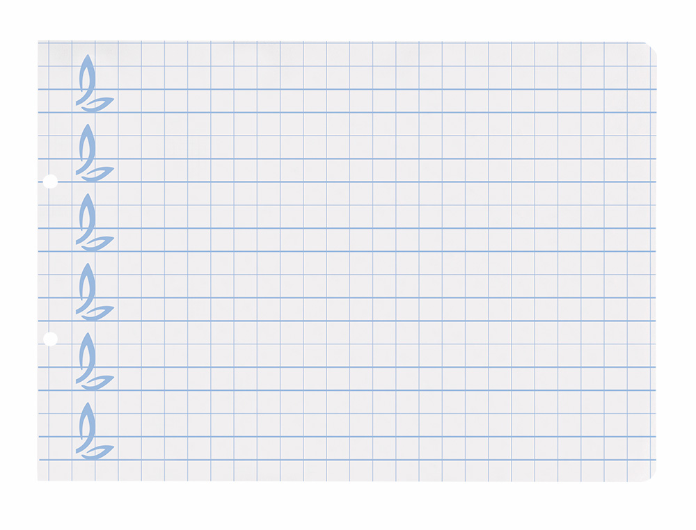 RECAMBIO LIDERPAPEL CUARTO APAISADO PAUTAGUIA 100 HOJAS 75GR CUADRICULADO PAUTADO 8MM CON MARGEN 2 TALADROS