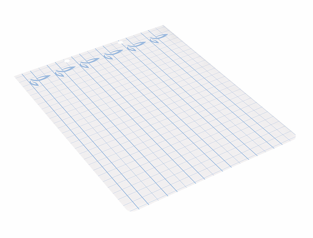 RECAMBIO LIDERPAPEL CUARTO APAISADO PAUTAGUIA 100 HOJAS 75GR CUADRICULADO PAUTADO 8MM CON MARGEN 2 TALADROS