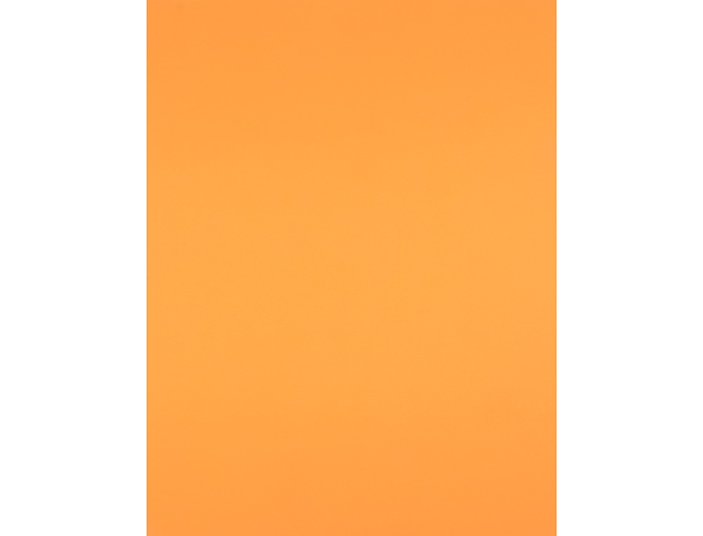 CARTULINA LIDERPAPEL 50X65 CM 240 G/M2 NECTARINA