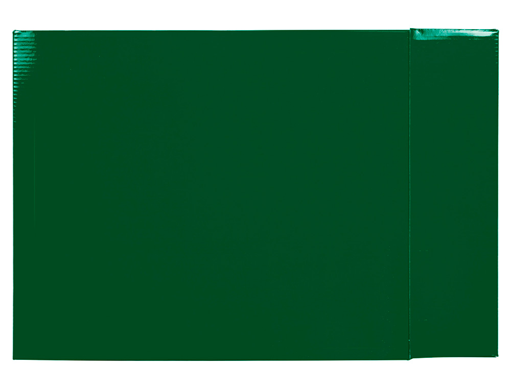 CAJA ARCHIVADOR LIDERPAPEL DE PALANCA CARTON DIN A4 DOCUMENTA LOMO 75MM COLOR VERDE