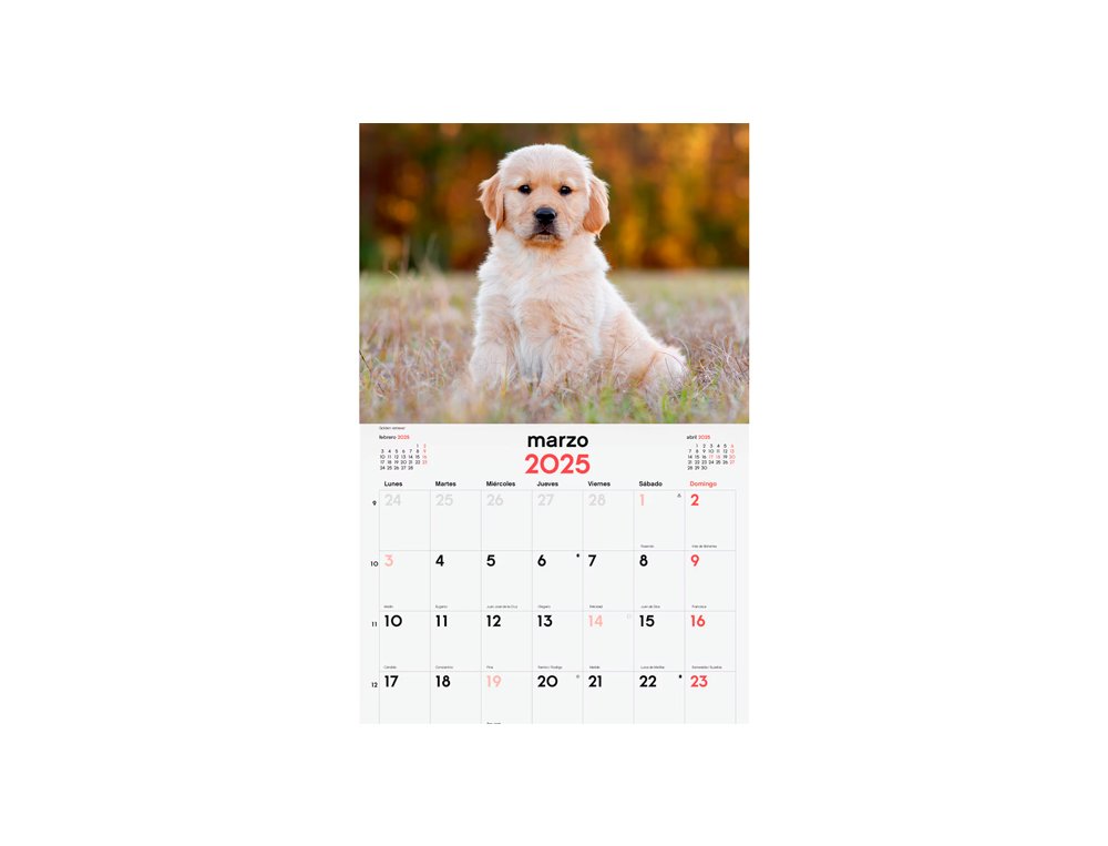 CALENDARIO DE PARED 300X300 MM FINOCAM PERROS CACHORROS