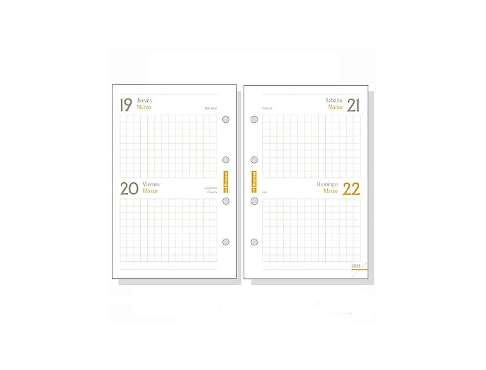 RECAMBIO AGENDA FINOCAM 601 AÑO 2 DIA/PAGINA