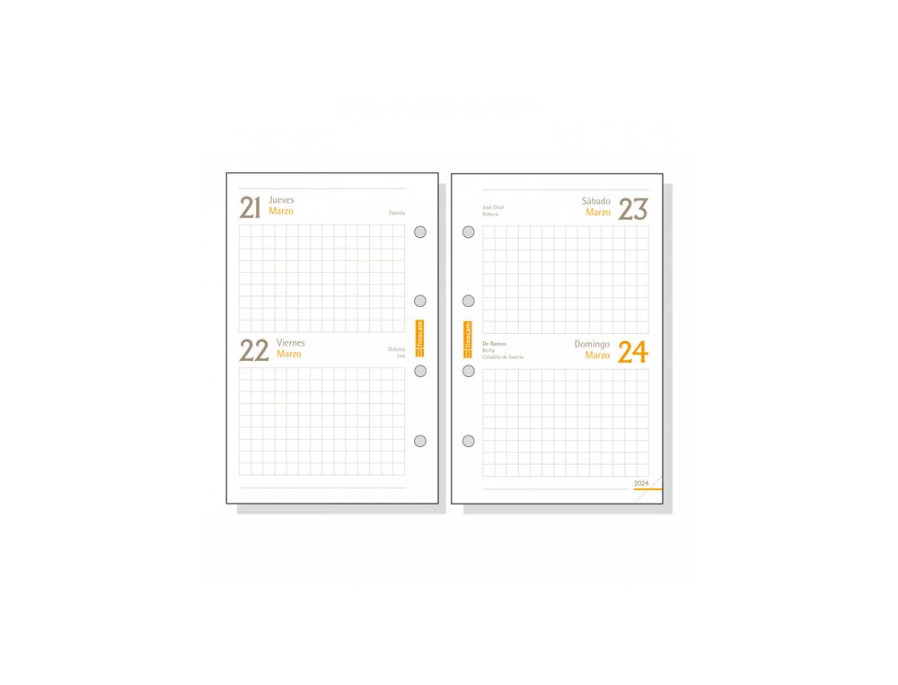 RECAMBIO AGENDA FINOCAM 601 AÑO 2 DIA/PAGINA