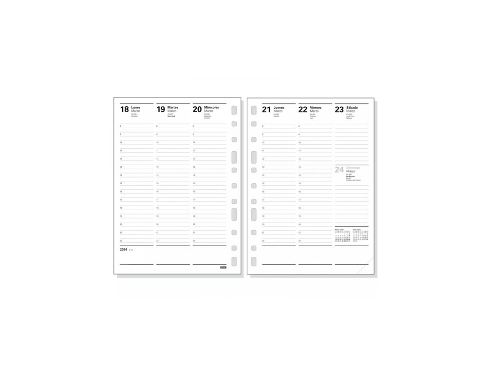 RECAMBIO AGENDA FINOCAM 3002 AÑO SEMANA/VISTA