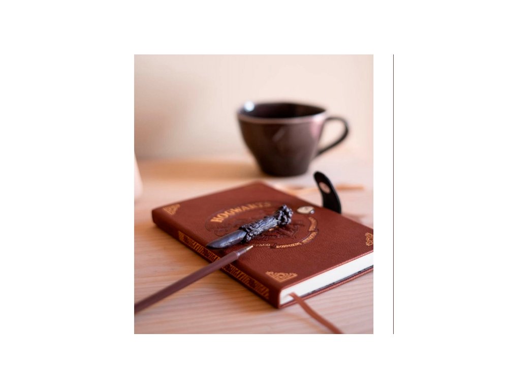 CUADERNO NOTAS DINA5 C/BOLIGRAFO HARRY POTTER VARI