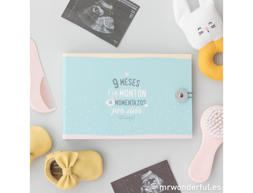 ALBUM 9 MESES Y UN MONTON DE MOMENTAZOS POR VIVIR MR WONDERFUL