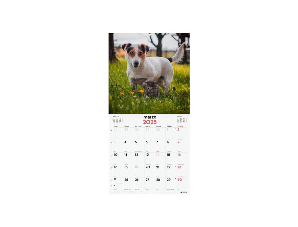 CALENDARIO DE PARED 300X300 MM FINOCAM PERROS Y GATOS