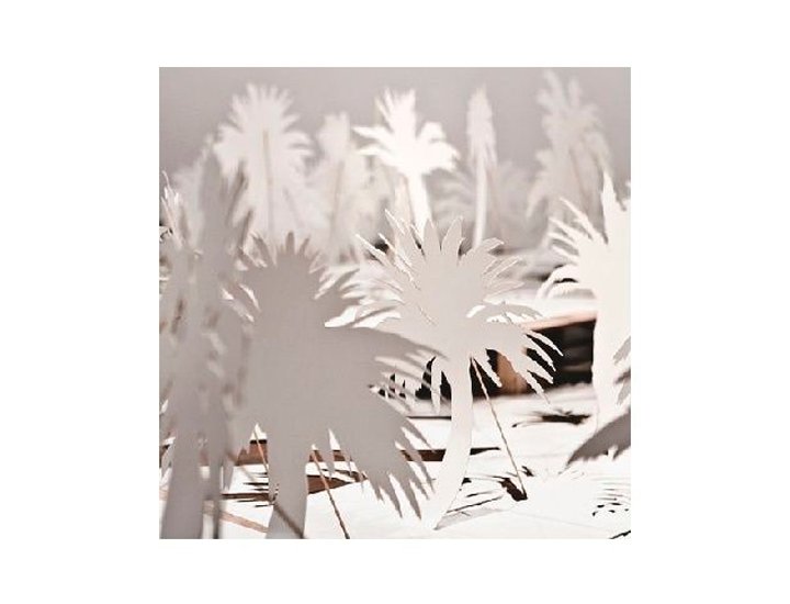 CARTON PRECISION DIBUJO PROYECTO 65X100 740 Gramos