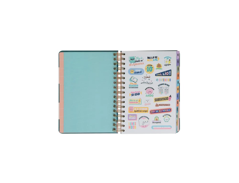 AGENDA ESCOLAR ESPIRAL DIA PAGINA Mr Wonderful WONDER Lo mejor de cada día