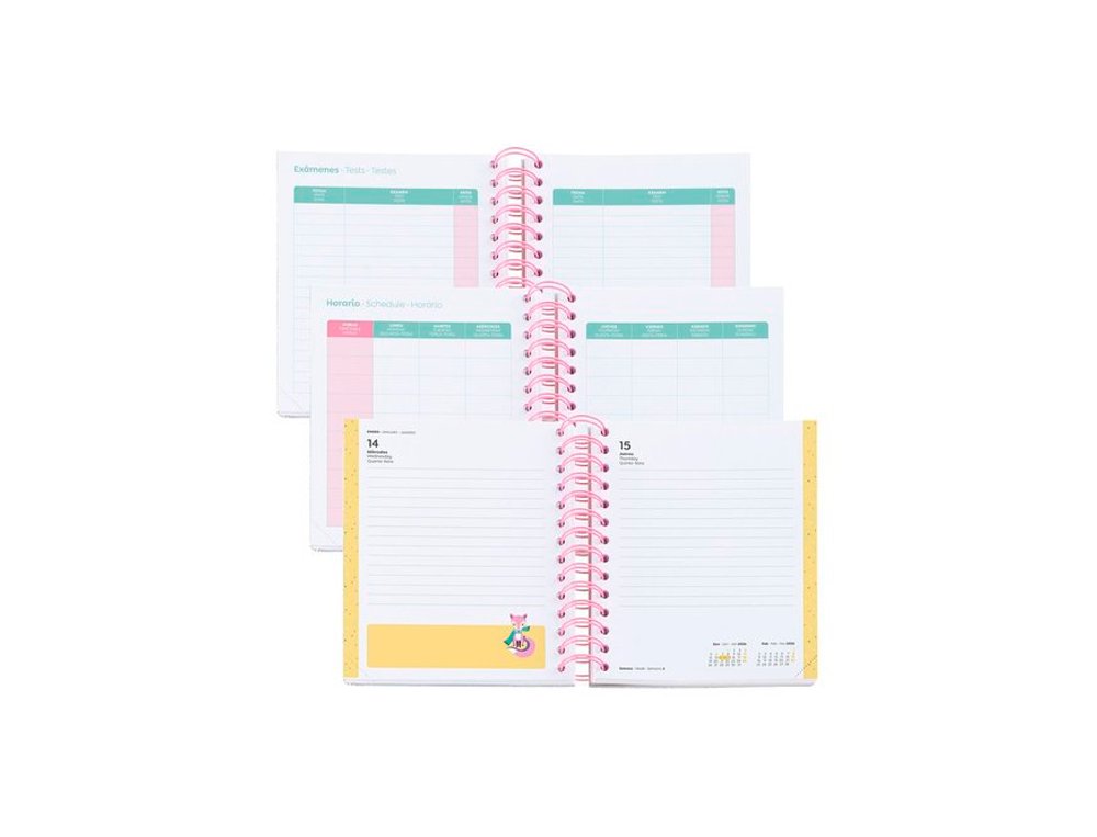 AGENDA ESCOLAR ESPIRAL 155X180 MM MINI TAPA CARTON DIA PAGINA SILVER
