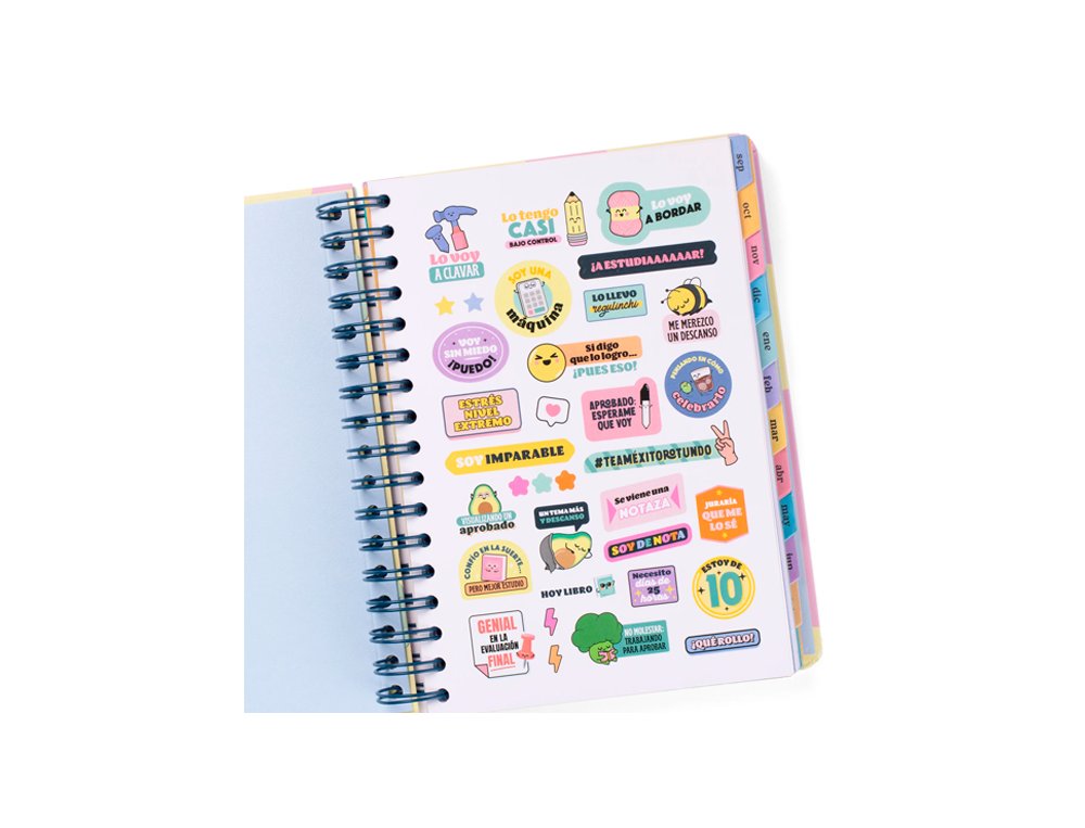 AGENDA ESCOLAR ESPIRAL DIA PAGINA Mr Wonderful WONDER GRAN DIA A LA VISTA