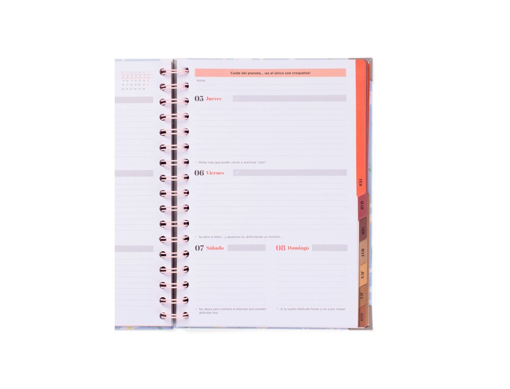 AGENDA ESCOLAR ESPIRAL Semana Vista Mr Wonderful WONDER ERASE UNA VEZ... MI VIDA