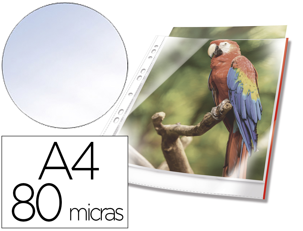 FUNDA MULTITALADRO DURABLE PREMIUM DIN A4 POLIPROPILENO 80 MC CRISTAL CON BORDE COLOR ROJO BOLSA DE 10 UNIDADES