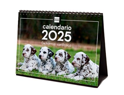 CALENDARIO ESPIRAL SOBREMESA 201X150 MM FINOCAM PERROS