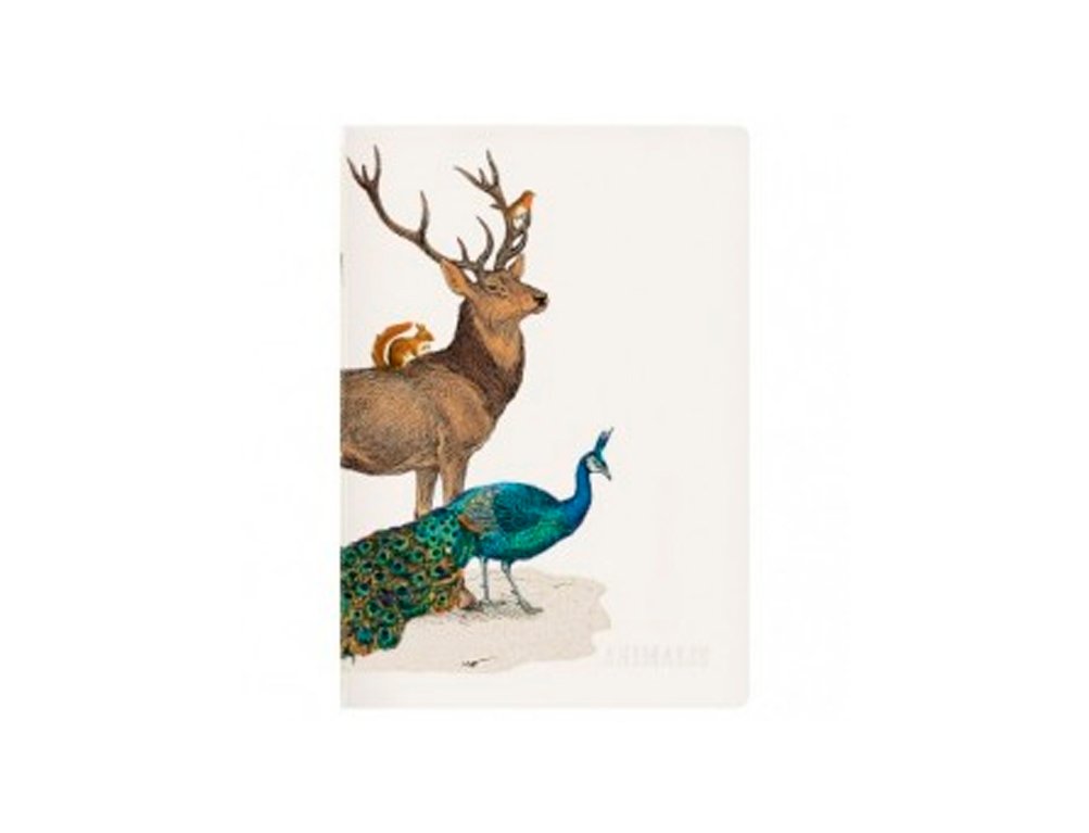 CUADERNO ANIMALIS DINA5 48 Hojas Lineas Horizontales