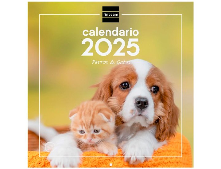 CALENDARIO DE PARED 300X300 MM FINOCAM PERROS Y GATOS