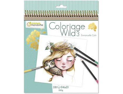 LIBRO COLOREAR 20X20 Cm 28 Hojas 250 Gramos ENMANUELLE COIN COLORIQGE WILD 3