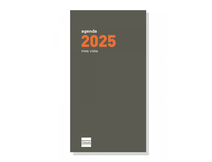 RECAMBIO AGENDA PLANA 4 AO MES Vista