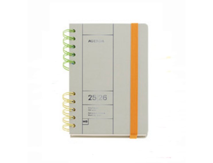 AGENDA ESCOLAR ESPIRAL 166X218 MM PLUS DIA PAGINA BACK TO BASIC GRIS