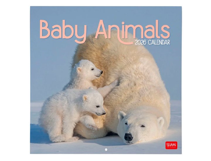 CALENDARIO ALMANAQUE 30X29 BABY ANIMAL
