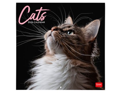 CALENDARIO ALMANAQUE 30X29 CATS