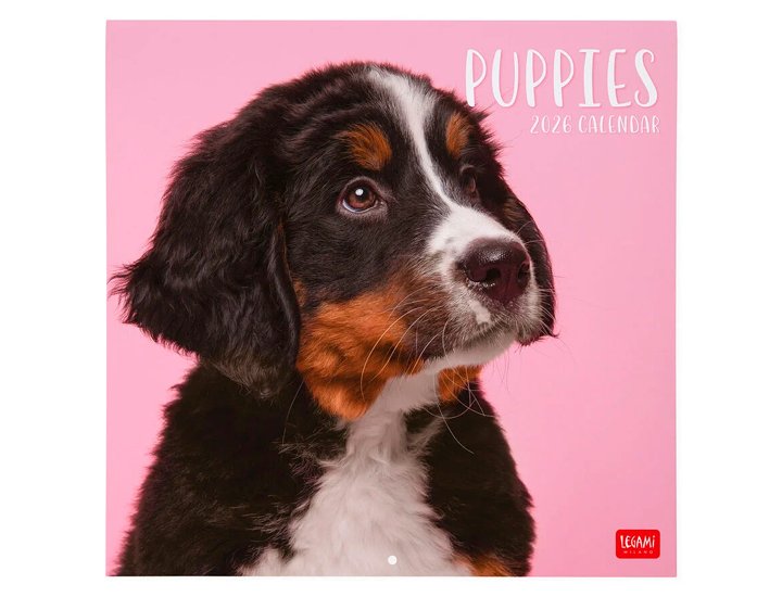 CALENDARIO ALMANAQUE 30X29 DOGS PUPPIES