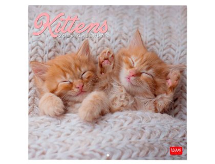 CALENDARIO ALMANAQUE 30X29 KITTENS CATS