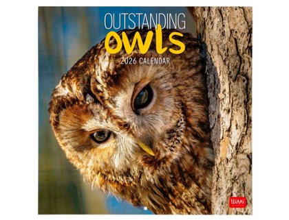 CALENDARIO ALMANAQUE 30X29 OUTSTANDING OWLS ANIMALS