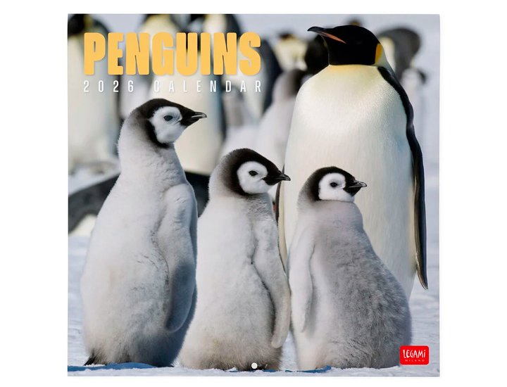 CALENDARIO ALMANAQUE 30X29 PINGUINOS